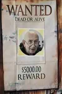 19